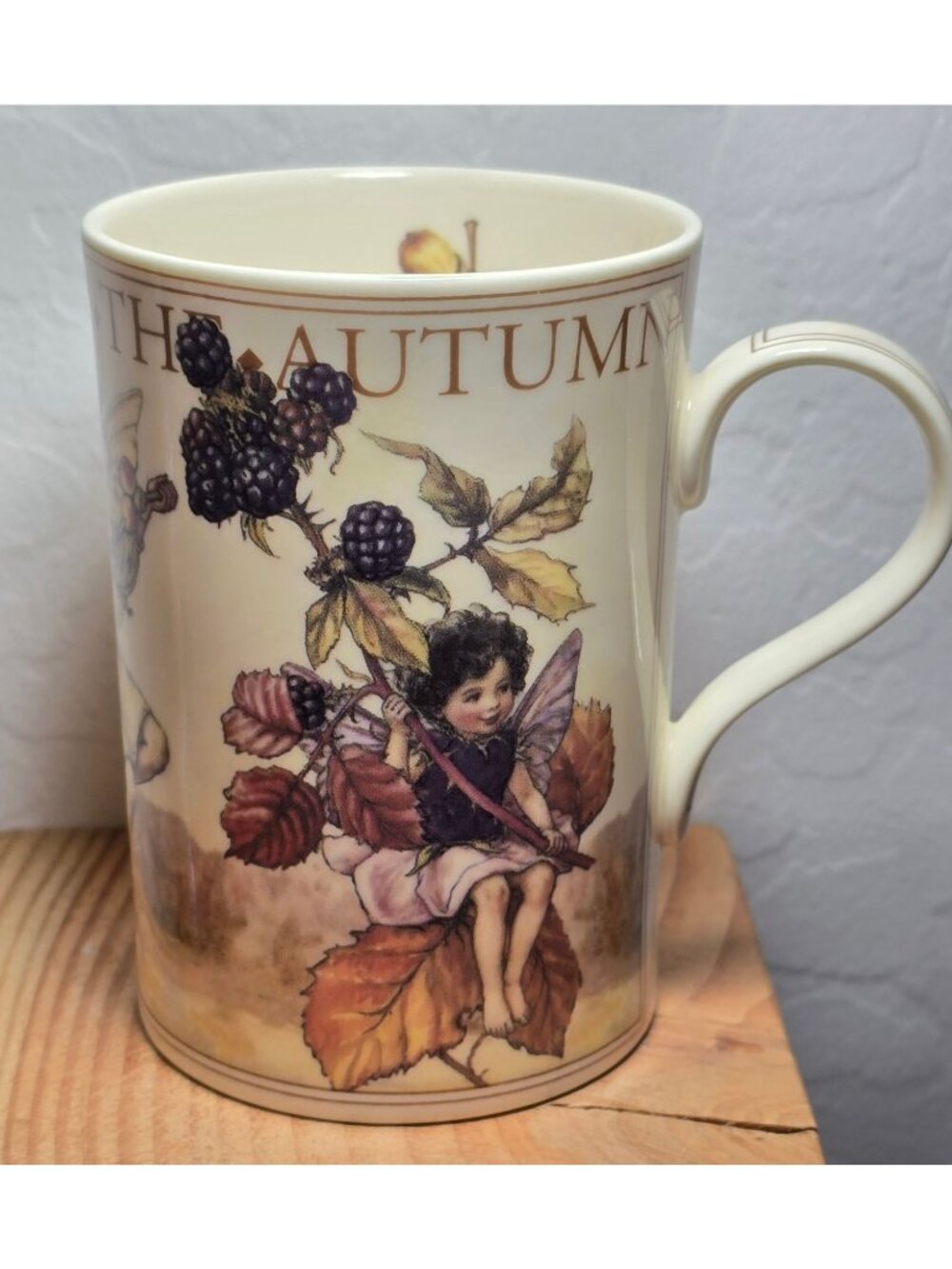 Queens Flower Fairies Of The Autumn Ceramic Mug 1997 Cicely Mary Barker